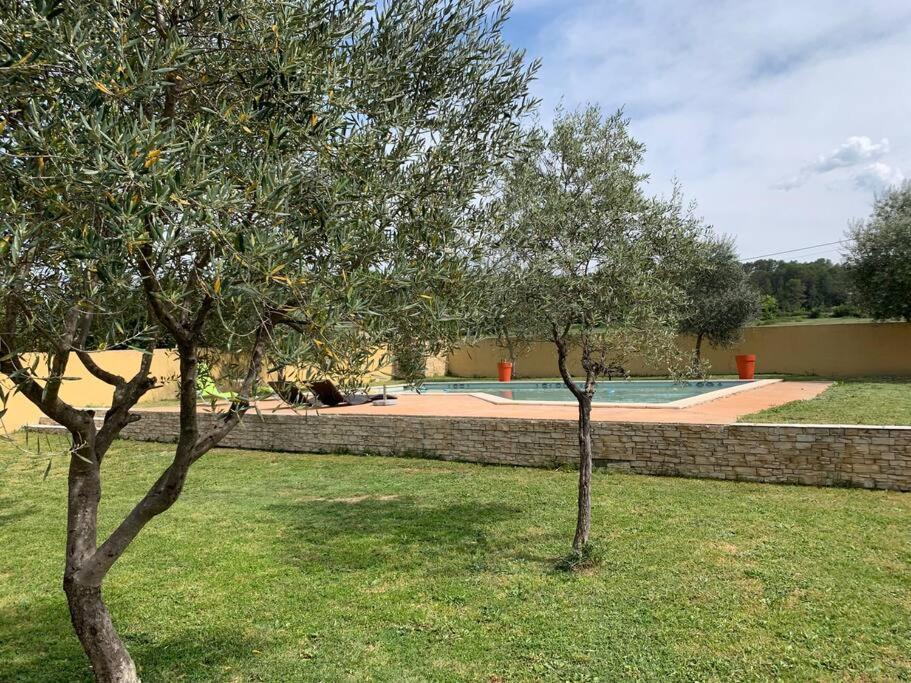 Loue Studio Dans Une Villa Avec Piscine Terrasse Saint-Theodorit Exterior photo
